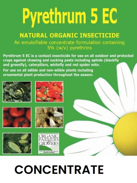 Pyrethrum Natural Organic Insecticide
