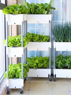 3-Tier Movable Self-Watering Vegetable Planter