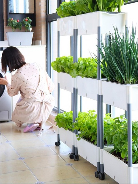 3-Tier Movable Self-Watering Vegetable Planter