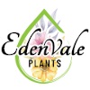 Edenvale Plants